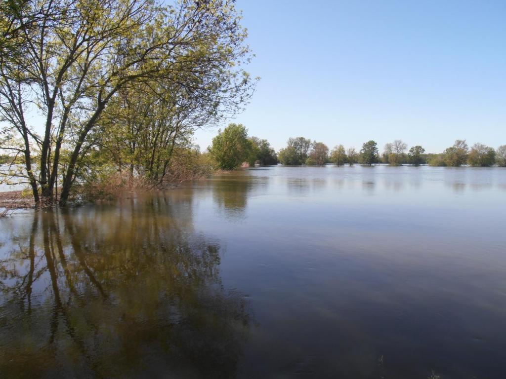 Chateau Sainte-Marie Dompierre-sur-Charente Ngoại thất bức ảnh