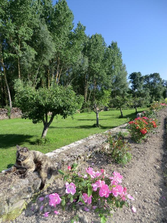 Chateau Sainte-Marie Dompierre-sur-Charente Ngoại thất bức ảnh